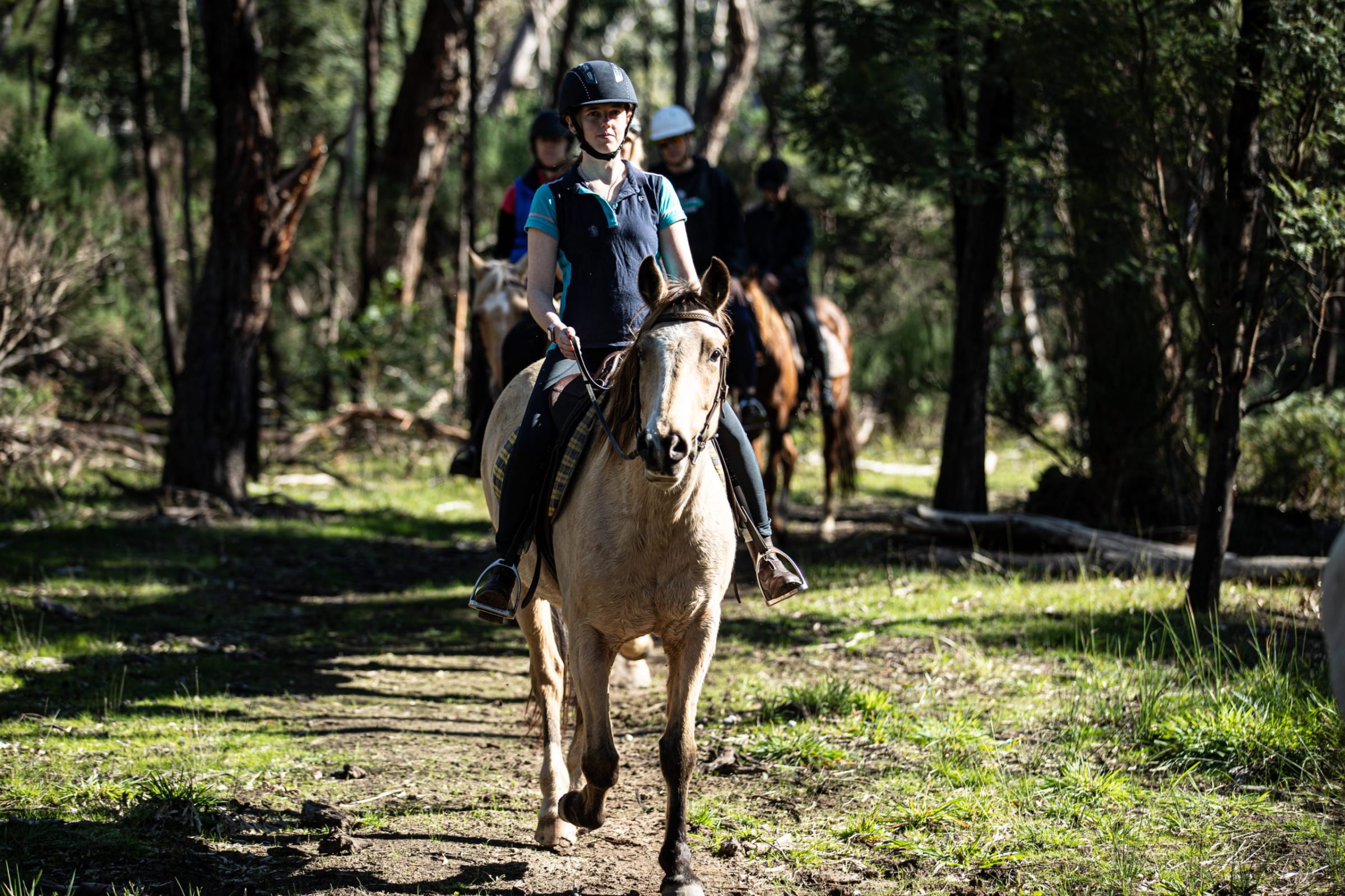 a person riding a horse in a forest