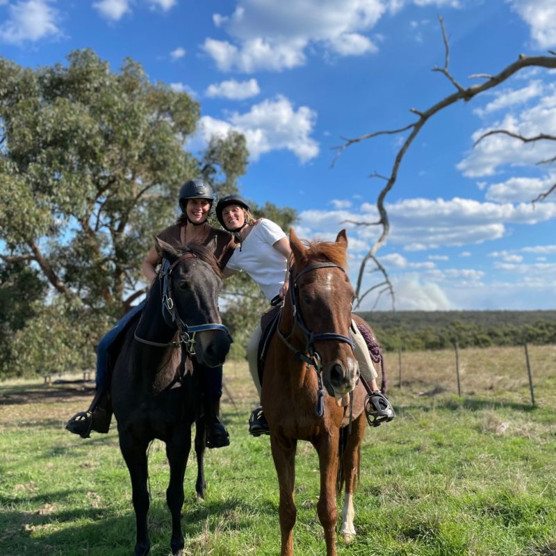 a person riding a horse in a field