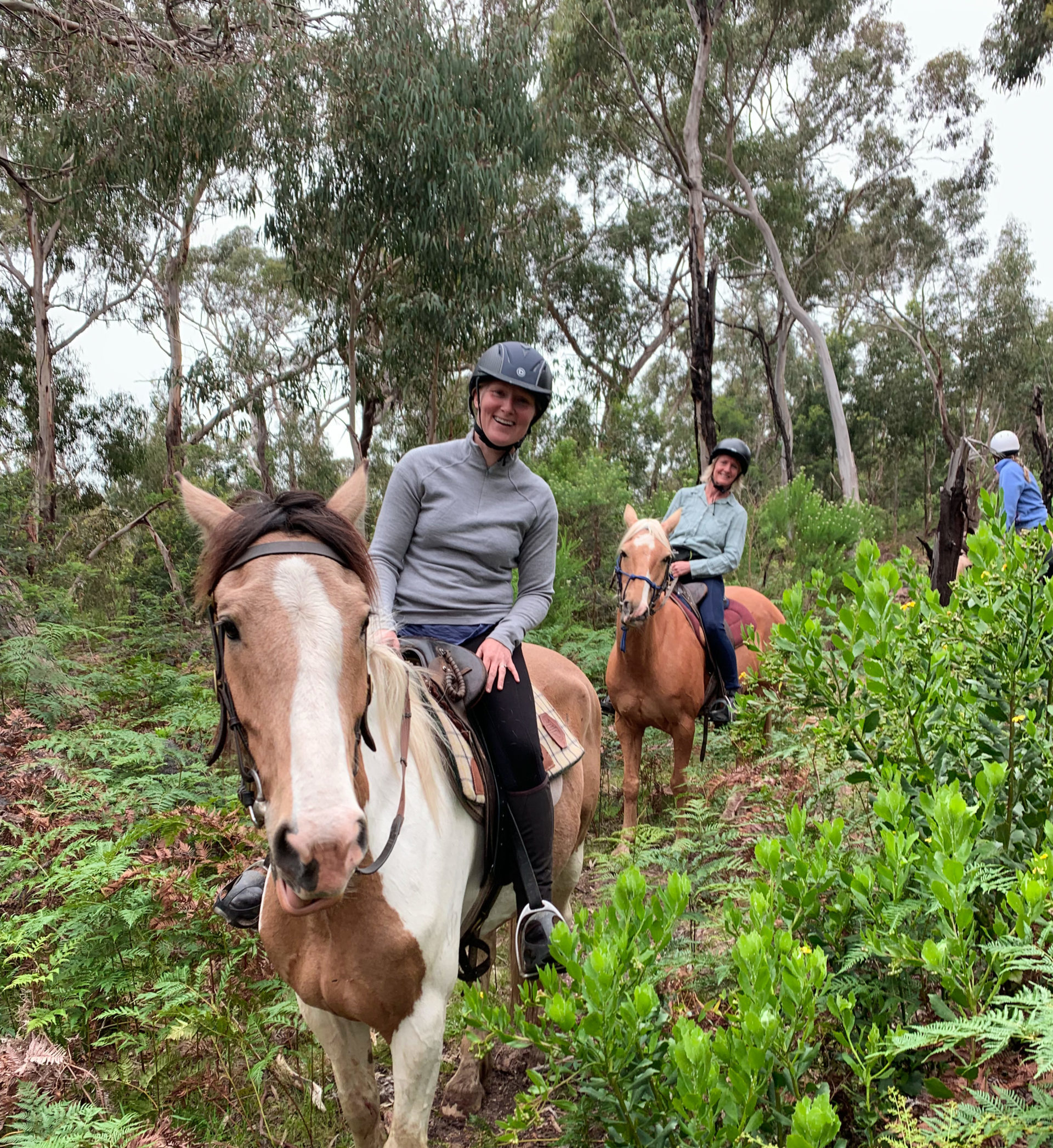 IMG_8718-scaled-e1637044713158 a man riding a horse in a forest