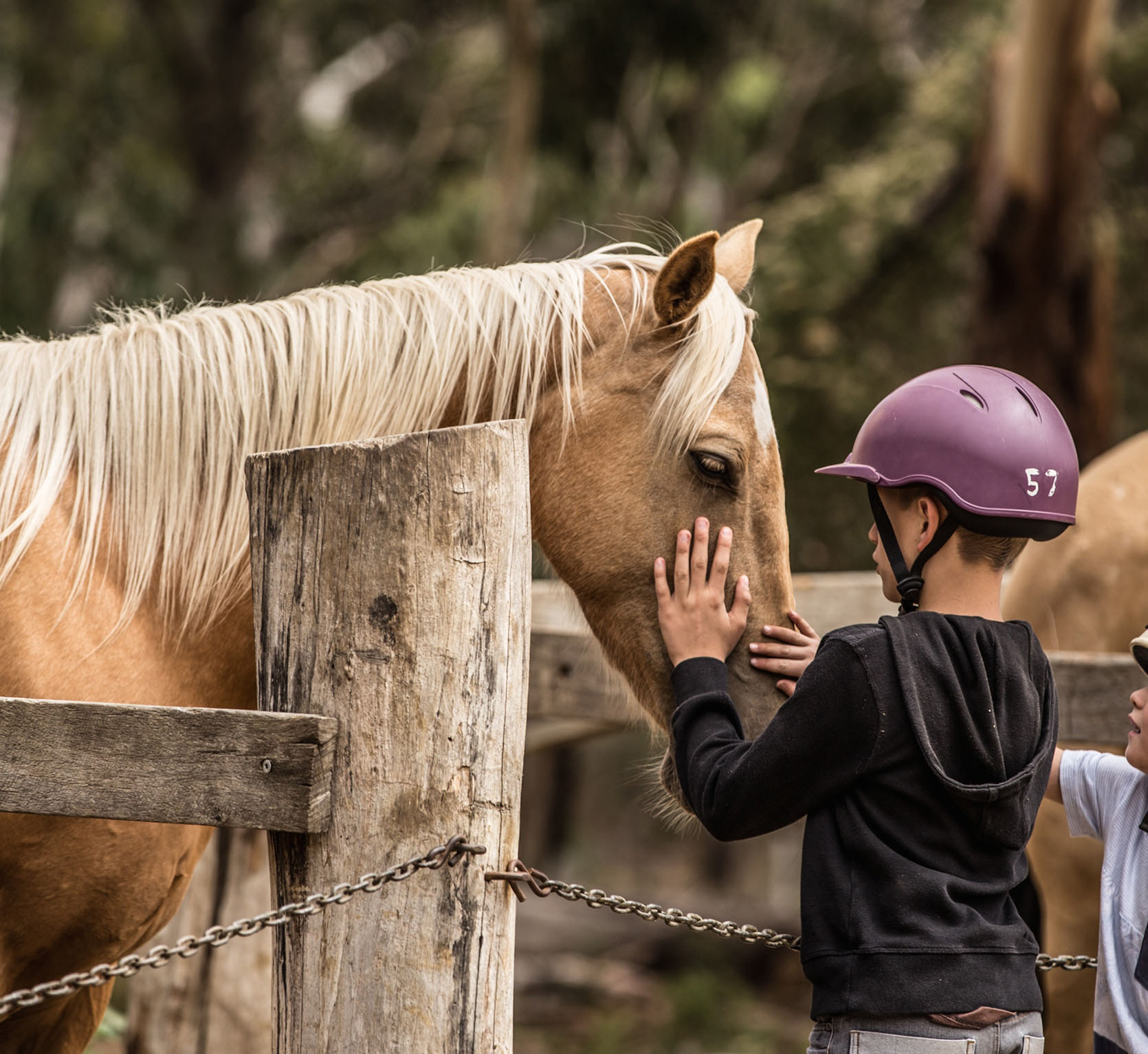 Spring-Creek-Horse-Rides-11 a person standing next to a fence