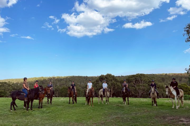 a group of people standing on top of a grass covered field