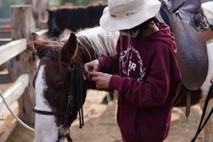 a person riding on the back of a brown horse