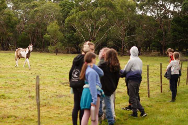 a group of people standing on top of a grass covered field