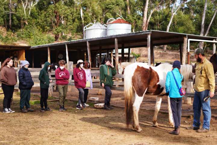 a group of people standing next to a horse