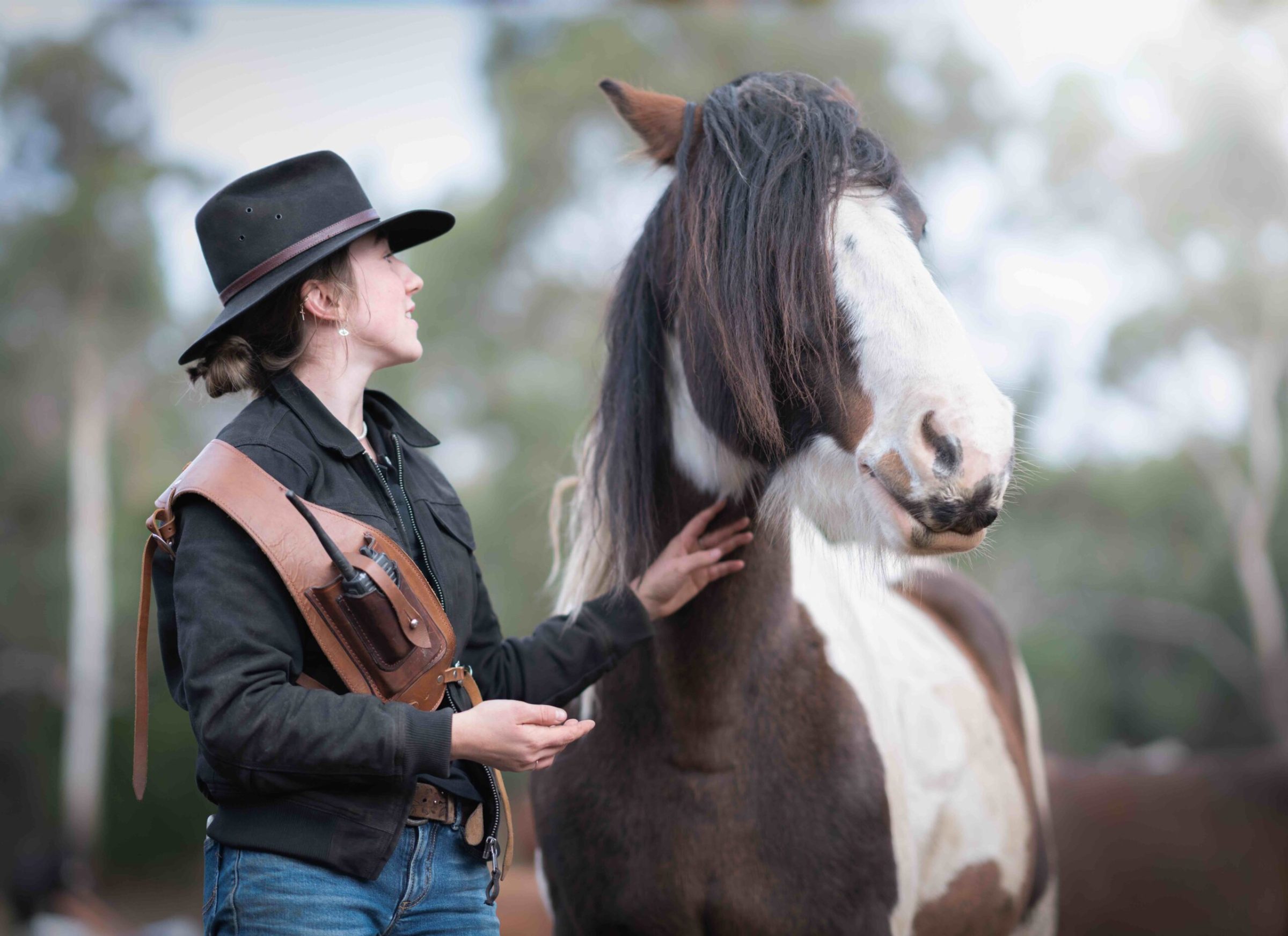 CharlottePicss copy a person petting a horse