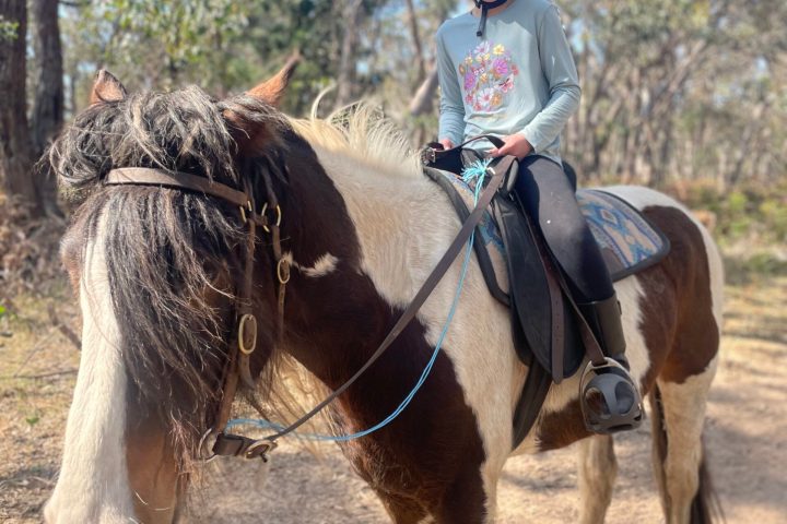 a man riding a horse