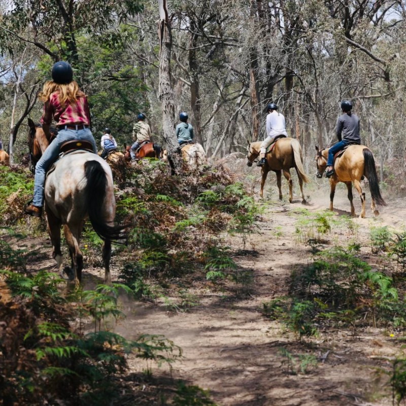 a man riding a horse on a dirt path