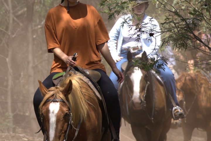 a group of people riding on the back of a horse