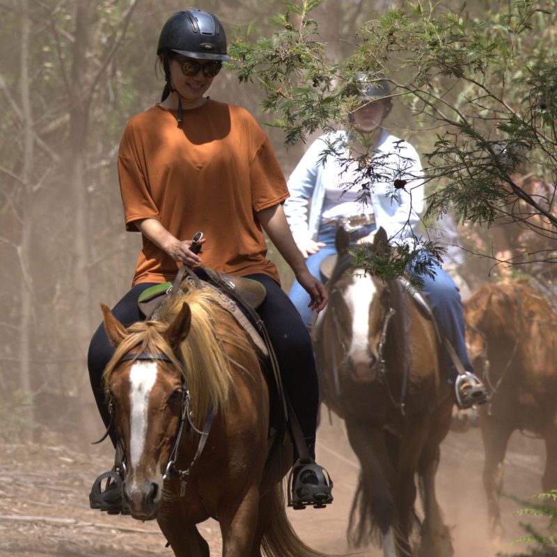 a group of people riding on the back of a horse
